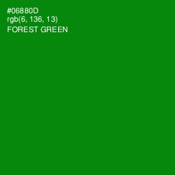 #06880D - Forest Green Color Image